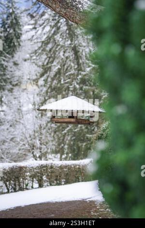 Mangeoire à oiseaux suspendue à un arbre, entouré d'arbres enneigés et atmosphère hivernale, jardin spa, Bad Wildbad, Forêt Noire, Allemagne, Europe Banque D'Images