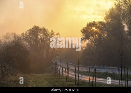 Soleil brisant dans le brouillard matinal dans la vallée de l'Elbe, route fédérale B6 à Zehren, Saxe, Allemagne, Europe Banque D'Images