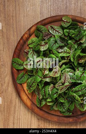 Sorrel Bloody Mary, des feuilles fraîches de bébé d'oseille, avec des veines rouges, micro-verts, sur une assiette Banque D'Images