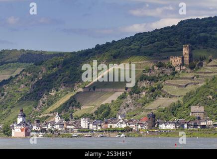 Vallée du Rhin près de la ville de Kaub, Allemagne, Europe Banque D'Images