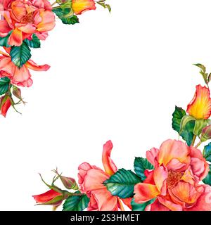 Vierge pour le texte avec des roses rouge-jaune, des bourgeons et des feuilles dans le coin. Illustration botanique à l'aquarelle. Fleurs dessinées à la main sur fond isolé. Banque D'Images