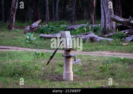 Gros plan d'une pompe manuelle au milieu d'une forêt Banque D'Images