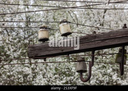 Un poteau utilitaire altéré avec trois isolants en verre est encadré par des arbres à fleurs blanches. L'image capture l'essence du printemps et la beauté de na Banque D'Images