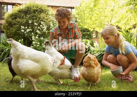 Garçon et fille se nourrir les poulets au jardin Banque D'Images