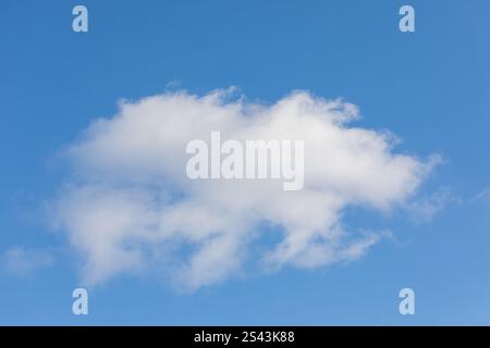 Shimsical Cloud animal forme dans un ciel bleu brillant Banque D'Images