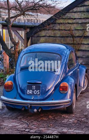 29 novembre 2024, Echten-pays-Bas : une Volkswagen Beetle bleue vintage garée près d'un hangar en bois rustique sur une ferme biologique lors d'une soirée calme. Banque D'Images