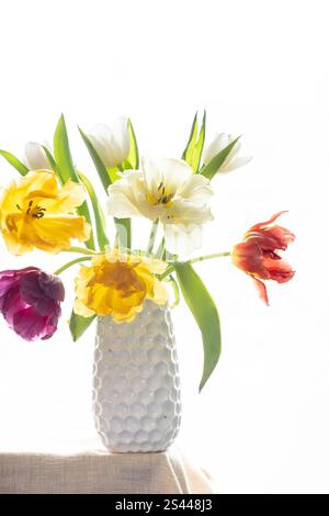 Tulipes vibrantes en rouge, jaune, orange et blanc disposées dans un vase blanc texturé sur un fond clair et aéré. Parfait pour le printemps ou floral-Them Banque D'Images