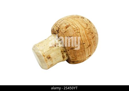 Gros plan d'un bouchon de vin sur un fond blanc brillant. Le liège est de forme cylindrique avec un sommet arrondi, montrant le porou caractéristique Banque D'Images
