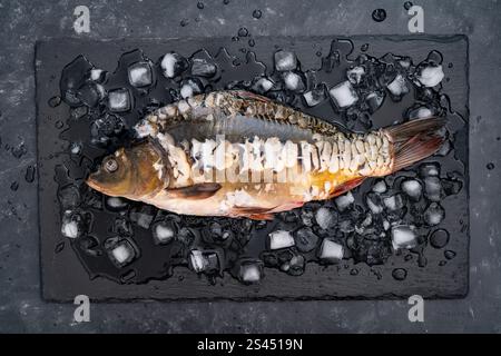 Poisson de carpe cru nettoyé réfrigéré sur de la glace sur un fond noir, gros plan, vue de dessus. dorado biologique frais cru ou poisson de dorade de mer sur ardoise noire Banque D'Images