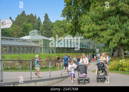 Besucher, Wintergarten / Palmenhaus, Wilhelma, Zoologisch-Botanischer Garten, Stuttgart, Baden-Württemberg, Deutschland *** visiteurs, Winter Garden Palm House, Wilhelma, Zoological Botanical Garden, Stuttgart, Baden Württemberg, Allemagne Banque D'Images