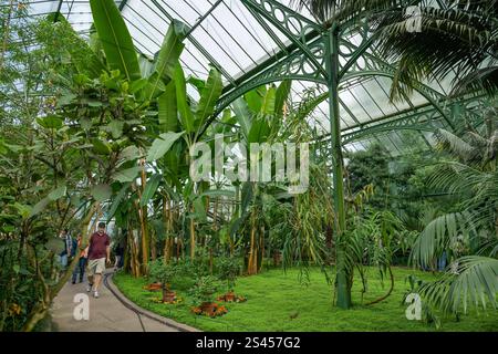 Wintergarten / Palmenhaus, Wilhelma, Zoologisch-Botanischer Garten, Stuttgart, Bade-Württemberg, Deutschland *** Winter Garden Palm House, Wilhelma, Zoological Botanical Garden, Stuttgart, Baden Württemberg, Allemagne Banque D'Images