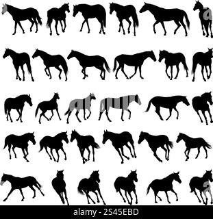 Big vector collection de différents chevaux silhouettes Illustration de Vecteur