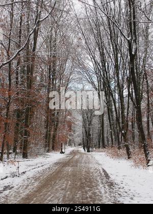 Sentier pédestre de la forêt enneigée dans la forêt de Kottenforst à Bonn, Allemagne en janvier Banque D'Images