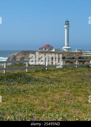 Paysage au phare de point Arena à point Arena, Californie. Banque D'Images