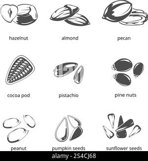 Icônes vectorielles monochromes de graines et de noix. Icônes vectorielles monochromes de graines et de noix. Illustration des aliments sains, des graines de noisette et de tournesol Illustration de Vecteur