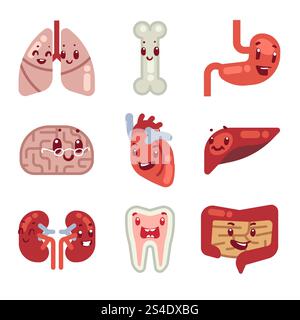 Icônes de vecteur d'organes internes de dessin animé mignons. Personnages organes humains coeur, foie et estomac, illustration d'organes vitaux. Icônes de vecteur d'organes internes de dessin animé mignons Illustration de Vecteur