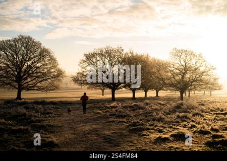 Promeneurs de chiens au lever du soleil à Richmond Park, Londres. Une grande partie du Royaume-Uni a enduré des températures inférieures au point de congélation du jour au lendemain, alors que la vague de froid continue à travers le Royaume-Uni. Date de la photo : dimanche 12 janvier 2025. Banque D'Images