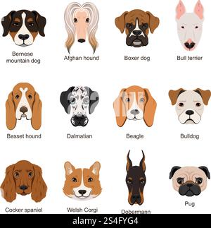 Différents chiens. Illustrations vectorielles définies isolent sur blanc. Amical adorable ami chien. Différents chiens. Illustrations vectorielles définies isolent sur blanc Illustration de Vecteur