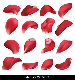 Pétales de fleurs de rose rouge réalistes isolés sur un ensemble de vecteurs de fond blanc. Pétale rose naturel, fleur illustration florale. Pétales de fleurs de rose rouge réalistes isolés sur un ensemble de vecteurs de fond blanc Illustration de Vecteur