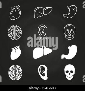 Tracez et délimitez les organes humains blancs sur le tableau. Illustration vectorielle. Tracer et délimiter les organes humains blancs Illustration de Vecteur