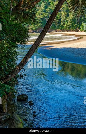 Rivière se dirigeant vers la mer à travers la forêt tropicale sur la plage sauvage déserte de Itacare, sur la côte de Bahia Banque D'Images