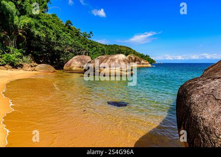 Paradisiacal and deserted beach surrounded by rainforest in Ilha Grande bay in Angra dos Reis on the coast of Rio de Janeiro Stock Photo