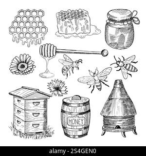 Miel, abeille, nid d'abeille et autres images thématiquement dessinées à la main. Illustration vintage vectorielle. Abeille miel insecte, nid d'abeilles bio. Miel, abeille, nid d'abeille et autres images thématiquement dessinées à la main. Illustration vintage vectorielle Illustration de Vecteur