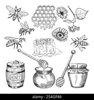 Images dessinées à la main de vecteur de produits de miel. Illustration de miel nourriture naturelle saine. Images dessinées à la main de vecteur de produits de miel Illustration de Vecteur