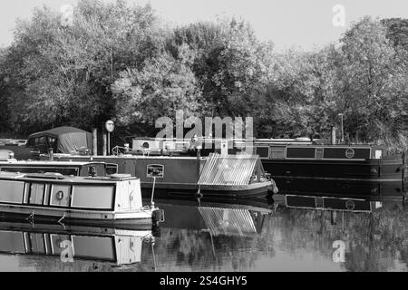Plusieurs bateaux étroits sont paisiblement amarrés le long du canal Ripon, entourés d'arbres broussailleux. Banque D'Images