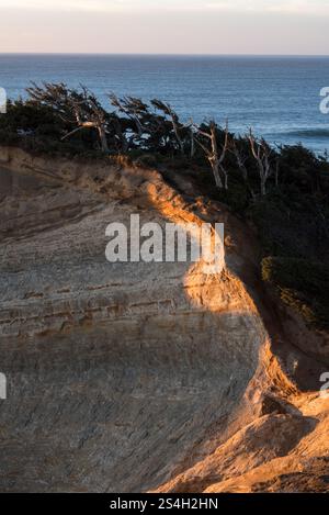 Cape Kiwanda au coucher du soleil, Cape Kiwanda Natural Area, Oregon. Banque D'Images