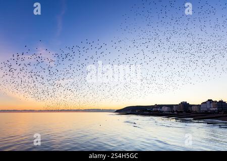 Eastbourne, Royaume-Uni. 12 janvier 2025. Vues spectaculaires à Eastbourne ce soir alors que des milliers d'étourneaux vont se percher sous la jetée. L'événement nocturne est communément connu sous le nom de murmure de Starling. Crédit : Ed Brown/Alamy Live News Banque D'Images