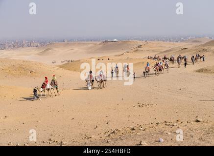 Gizeh, Égypte - 30 octobre 2024 : touristes en chameau dans le sables du désert par les pyramides de Gizeh Banque D'Images