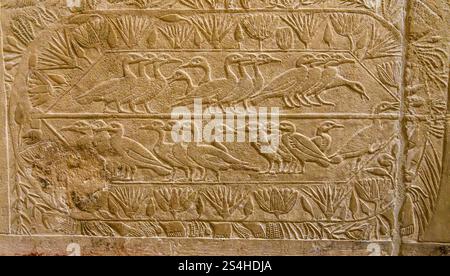 Canards et oies sculptés sur les murs de la tombe de Kagemni, vizir au roi Téti, dans la nécropole de Sakkara Banque D'Images