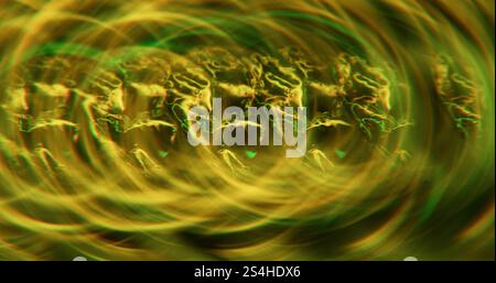 Flou abstrait brillant. Bulles d'oxygène. Particules scintillantes jaunes multicolores brillantes rayons lumineux de lentille tournant sur fond de lumière bokeh. Banque D'Images