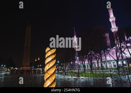 Vue nocturne de la Mosquée du Sultan Ahmed et des monuments historiques à Istanbul Banque D'Images