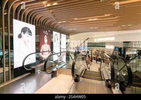 HONG KONG, CHINE - 1er FÉVRIER 2019 : escaliers mécaniques à Park Central avec Green Common en arrière-plan. Banque D'Images