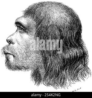 Profil de la tête d'un Néandertal, Néandertal (Homo neanderthalensis), gorge calcaire à l'est de Duesseldorf, paysage calcaire montagneux, cheveux Banque D'Images