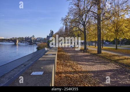 Sentier pédestre, Elbe, rivière, arbres, feuillage automnal inondé de lumière, mur, Pont Auguste, balustrade métallique, piétons comme accessoires, rive de terrasse, Dresde, s. Banque D'Images