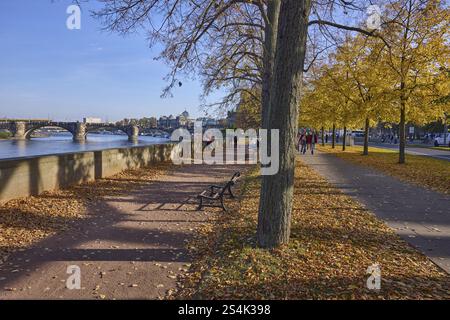Sentier pédestre, Elbe, rivière, arbres, feuillage automnal inondé de lumière, mur, Pont Auguste, piétons comme accessoires, rive terrasse, Dresde, capitale de l'état, i Banque D'Images