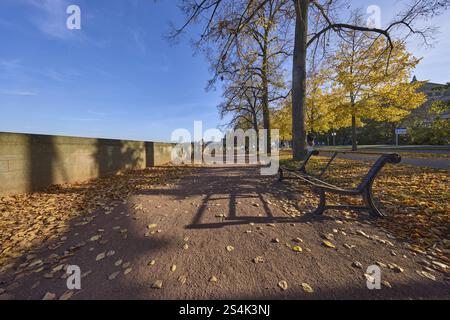 Sentier, banc, mur, feuilles d'automne, arbres au feuillage automnal inondé de lumière, perspective de grenouille, ciel bleu avec des nuages de cirrostratus, Terrassenufer, D. Banque D'Images