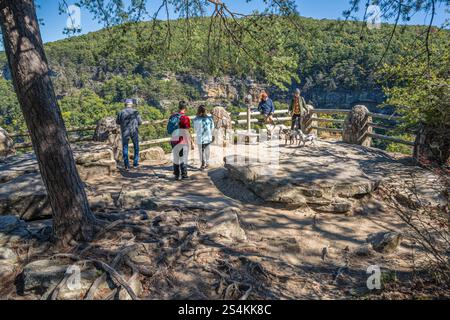 Cloudland Canyon State Park vue panoramique depuis le point de vue principal au-dessus de Sitton Gulch sur Lookout Mountain à Rising Fawn, Géorgie. (ÉTATS-UNIS) Banque D'Images