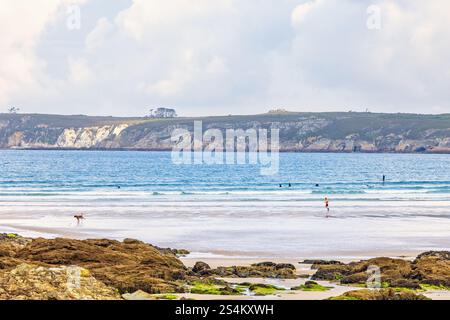 Homme courant avec un chien sur une plage de sable au bord de la mer Banque D'Images