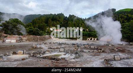 Fumaroles à Furnas Hot Springs, île de Sao Miguel, Açores, Portugal Banque D'Images