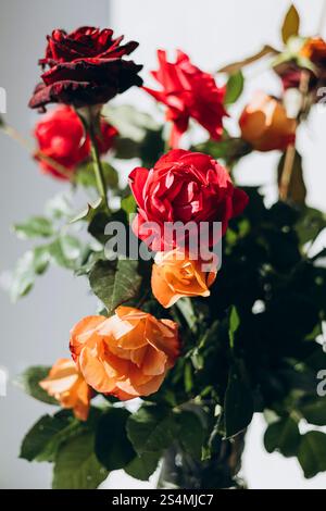 Un beau bouquet de roses rouges et oranges fraîches avec des feuilles vertes est capturé dans une lumière naturelle douce, soulignant les détails complexes et le col riche Banque D'Images