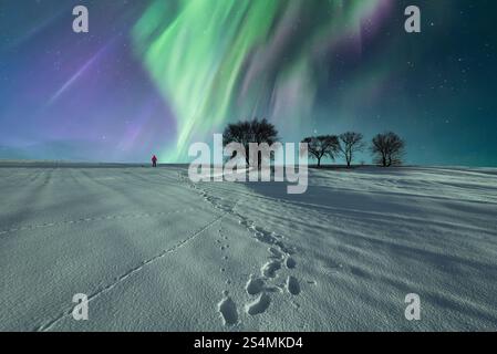 Personne méconnaissable en veste rouge marchant à travers un terrain enneigé sous une aurore boréale vibrante par une nuit d'hiver claire, laissant des empreintes derrière. Banque D'Images