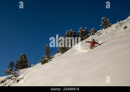 Un skieur dans un équipement vibrant sculpte dans la poudreuse fraîche sur une pente de montagne abrupte sous un ciel bleu clair, entouré d'arbres à feuilles persistantes, capturant le Thr Banque D'Images