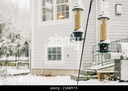 Oiseaux se nourrissant dans des mangeoires d'oiseaux enneigées près d'une maison en chute de neige Banque D'Images