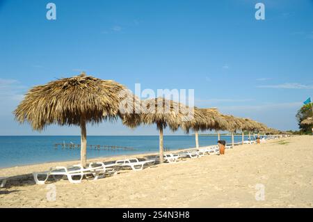 De nombreux parasols faits de feuilles de palmier sur la plage exotique varadero Cuba Banque D'Images