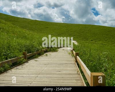 Promenade en bois serpentant vers le haut à travers une prairie verte vibrante sous un ciel partiellement nuageux. Banque D'Images