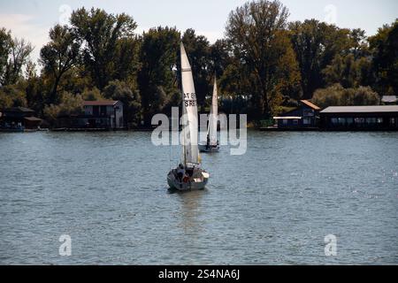 Serbie, 28 septembre 2024 : une régate de voile de Micro Class a eu lieu sur la Save à Belgrade Banque D'Images
